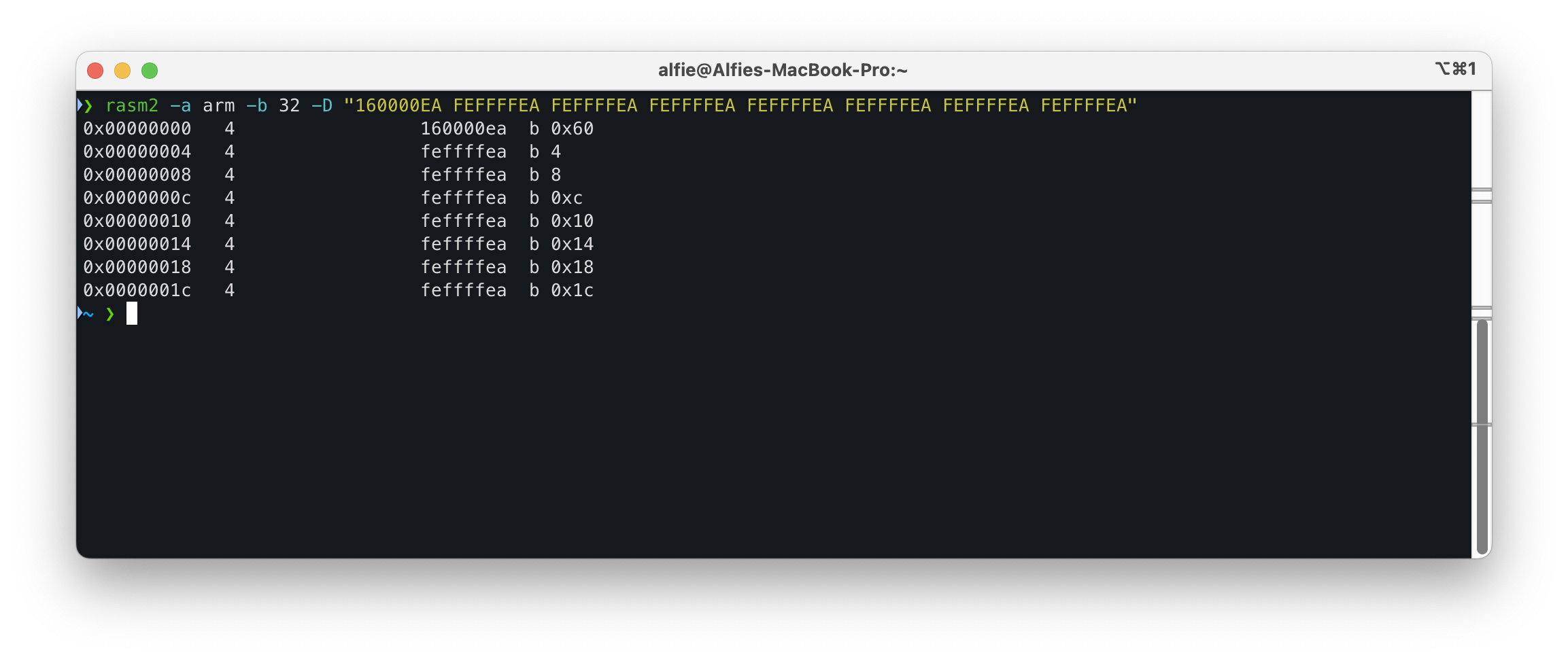 The AOP's exception vector in assembly