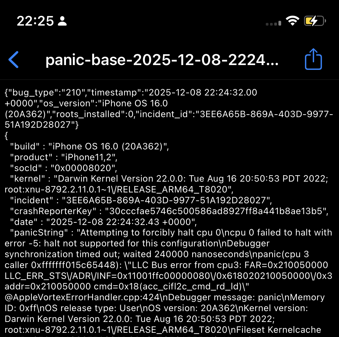 Kernel panic after trying to read MMIO improperly